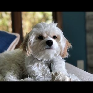 Meet your Posher, Cathy